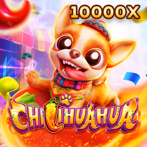 8win55 Fachai Chihuahua